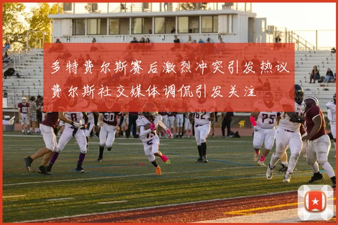 多特费尔斯赛后激烈冲突引发热议费尔斯社交媒体调侃引发关注