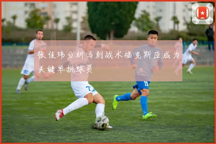 张佳玮分析马刺战术福克斯应成为关键单挑球员