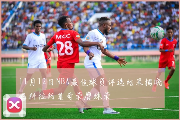 11月12日NBA最佳球员评选结果揭晓尼科拉约基奇荣膺殊荣