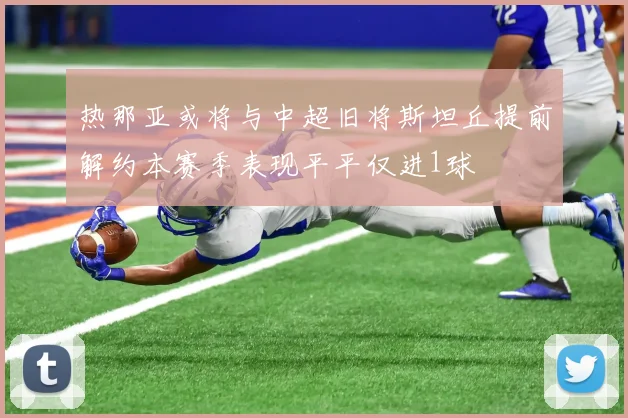 热那亚或将与中超旧将斯坦丘提前解约本赛季表现平平仅进1球