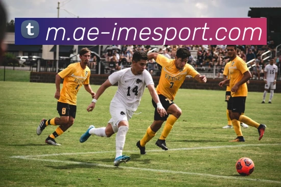 App Interface Preview