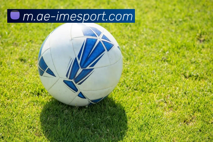 IM电竞APP 封面图